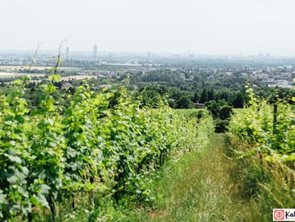 Hochzeit - Art der Location: Wintergarten - Donauraum - Weingut Weinhandwerk