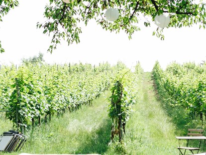 Hochzeit - Gänserndorf - Weingut Weinhandwerk