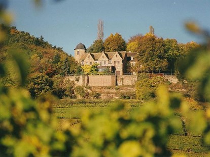 Hochzeit - externes Catering - Wachenheim an der Weinstraße - Schloss Kropsburg - Draufsicht - Schloss Kropsburg