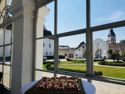 Hochzeit - Art der Location: Wintergarten - Donauraum - Mittagsagape belegte Brötchen bevor es weiter zur kirchlichen Trauung geht - Schloss Events Enns
