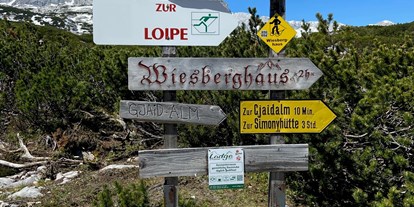 Hochzeit - Umgebung: am Land - Obertraun - Gjaid Alm am Krippenstein 