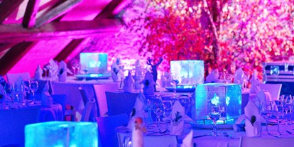Hochzeit - Geeignet für: Vernissage oder Empfang - Winterthur - Wintizauber Dinnerspektakel jährlich wiederkehrend - ROTE TROTTE Winterthur