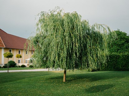 Hochzeit - Hochzeits-Stil: Boho-Glam - Oberösterreich - Parkanlage des Oberbauergutes  - Oberbauergut