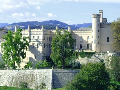Hochzeit - Art der Location: privates Anwesen - Österreich - Schloss Wolfsberg in Kärnten  - Schloss Wolfsberg