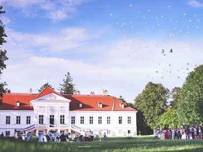 Hochzeit - Hochzeits-Stil: Traditionell - Kottingbrunn - Hochzeit im SCHLOSS Miller-Aichholz, Europahaus Wien - Schloss Miller-Aichholz - Europahaus Wien