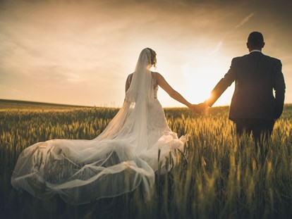 Hochzeit - Hellmonsödt - Fotoshooting am hofeigenen Landwirtschaftlichen-Feld - Stadlerhof Wilhering