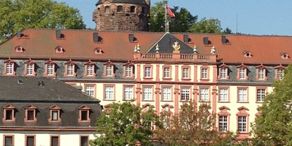 Hochzeit - Frühlingshochzeit - Waldbrunn (Neckar-Odenwald-Kreis) - Vorderansicht Schloss Erbach mit Lustgarten - Schloss Erbach