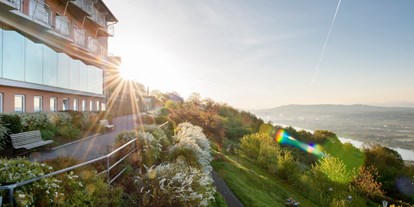 Hochzeit - Umgebung: in den Bergen - Maria Taferl - Die atemberaubende Aussicht vom Hotel Schachner auf die Donau und das imposante Voralpenpanorama. - Hotel Schachner****