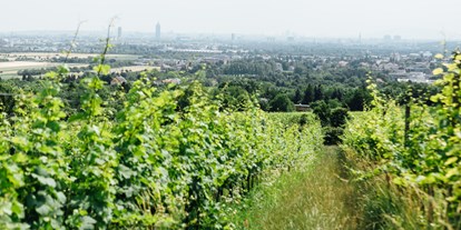 Hochzeit - Wien - Weingut Weinhandwerk