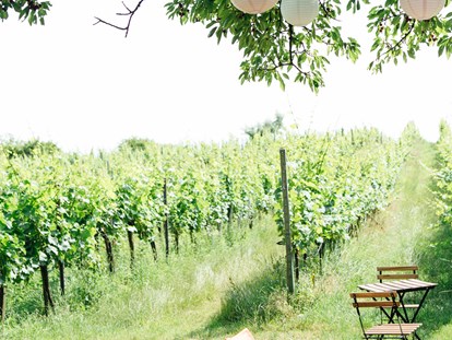Hochzeit - Umgebung: in Weingärten - Wien Hietzing - Weingut Weinhandwerk