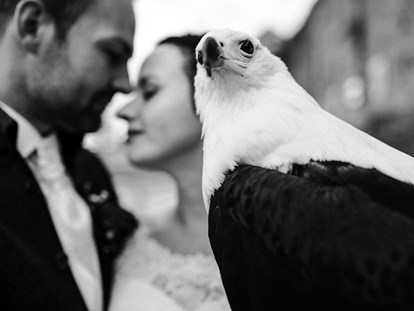 Hochzeit - Preisniveau: exklusiv - Neckarwestheim - Auch außergewöhnliche Fotoshootings mit den Greifvögeln der Burg sind möglich. - Heiraten auf Schloss Horneck / Eventscheune 