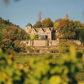Hochzeitslocation: Schloss Kropsburg - Draufsicht - Schloss Kropsburg
