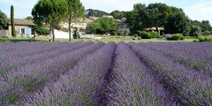 Hochzeit - Umgebung: am Land - Provence-Alpes-Côte d'Azur - Le Mas de la Rose