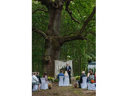 Hochzeit - Umgebung: am Land - Tribsees - Trauung im Freien unter der dicken Eiche im Burgpark - Wasserburg Turow