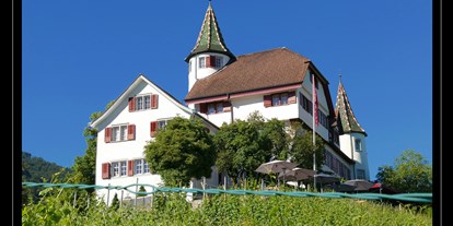 Hochzeit - Festzelt - Friedrichshafen - Schloss Weinstein - Schloss Weinstein