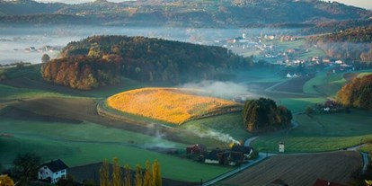 Hochzeit - Festzelt - Steiermark - Herbst am Flamberg - Weingartenhotel Harkamp
