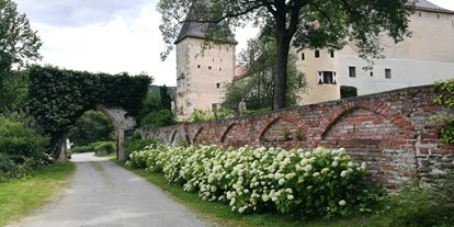 Hochzeit - Art der Location: Burg - Lanzenkirchen - Burg Feistritz - Burg Feistritz