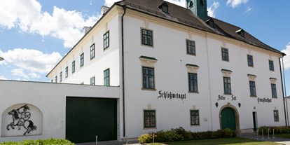 Hochzeit - Kapelle - Kronberg (Ulrichskirchen-Schleinbach) - Schloss Raggendorf außen - Schloss Raggendorf