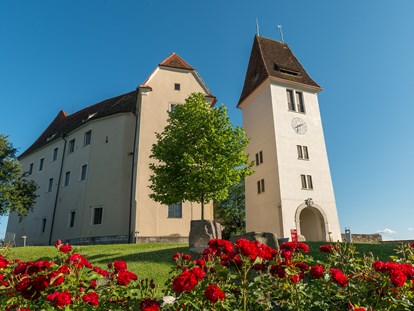 Hochzeit - Art der Location: Schloss - Trautmannsdorf (Bad Gleichenberg) - Hotel SCHLOSS SEGGAU - Schlosshof - Hotel SCHLOSS SEGGAU