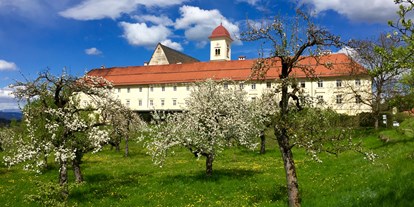Hochzeit - Art der Location: Schloss - Kärnten - Stift St. Georgen