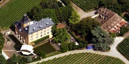 Hochzeit - Art der Location: Schloss - Deutschland - Luftaufnahme - Hotel Schloss Edesheim