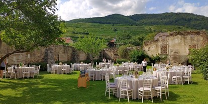 Hochzeit - Umgebung: in Weingärten - Senftenberg (Senftenberg) - Schloss zu Spitz