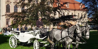 Hochzeit - Umgebung: im Park - Sachsen - Schloss Brandis mit Hochzeitskutsche - Schloss Brandis