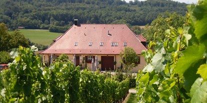 Hochzeit - Umgebung: in Weingärten - Freiberg am Neckar - Klosterkelter Maulbronn
