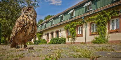 Hochzeit - Art der Location: Hotel - Kleinblittersdorf - Die Falknerei am Hof macht es möglich, dass ein Uhu Ihre Trauringe einfliegt. - Der Linslerhof