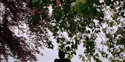 Hochzeit - Hochzeits-Stil: Vintage - Helferskirchen - Alte Bäume, Statuen und Brunnen schaffen eine ehrwürdige Atmosphäre im Schlosshof und Rosengarten. - Schloss Friedewald (Westerwald)