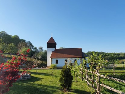 Hochzeit - Weinkeller - Region Schwaben - sDörfle