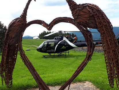 Hochzeit - Candybar: Saltybar - Lenzing (Lenzing) - Der Feldbauernhof bietet genügend Platz um mit dem Helikopter zur Hochzeit zu Reisen. - Feldbauernhof