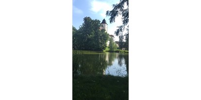 Hochzeit - Art der Location: Schloss - Niederösterreich - Schloss Seisenegg - Teichansicht - Schloss Seisenegg