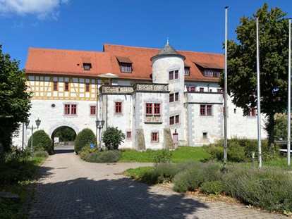 Hochzeit - Umgebung: in Weingärten - Steinheim an der Murr - Schloss Liebenstein