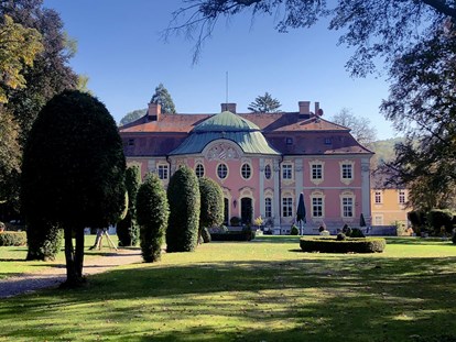 Hochzeit - Art der Location: im Freien - Baden-Württemberg - Schloss Assumstadt
