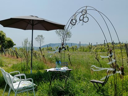 Hochzeit - Garten - Donauraum - Villa Weinhandwerk