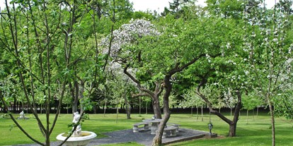 Hochzeit - Umgebung: im Park - Region Köln-Bonn - Park während Apfelblüte - Waldhotel Rheinbach