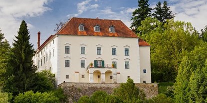 Hochzeit - Festzelt - Österreich - Schloss Ernegg in Niederösterreich  - Schloss Ernegg