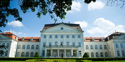 Hochzeit - Umgebung: in Weingärten - Wien Neubau - Heiraten im Schloss Wilhelminenberg in Wien.
Foto © greenlemon.at - Austria Trend Hotel Schloss Wilhelminenberg
