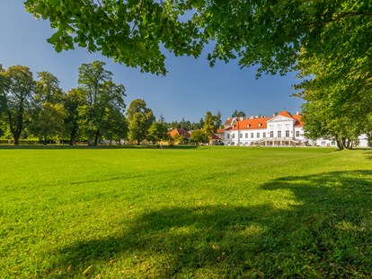 Hochzeit - Umgebung: im Park - Breitenfurt bei Wien - Parkanlage direkt vor dem SCHLOSS Miller Aichholz - Schloss Miller-Aichholz - Europahaus Wien