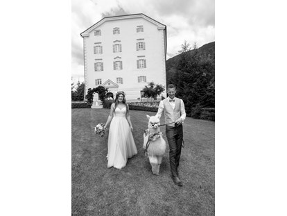 Hochzeit - Geeignet für: Vernissage oder Empfang - Bezirk Spittal an der Drau - 2020  - Schloss Greifenburg