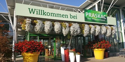 Hochzeit - Preisniveau: günstig - Wien-Stadt Innere Stadt - Praskac Das Pflanzenland - Eventglashaus - Praskac Das Pflanzenland