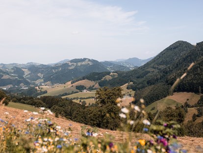 Hochzeit - Umgebung: in den Bergen - Österreich - herrlicher Ausblick am Rieglergut - Rieglergut