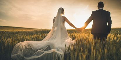 Hochzeit - Festzelt - Fotoshooting am hofeigenen Landwirtschaftlichen-Feld - Stadlerhof Wilhering