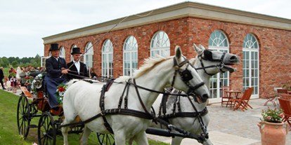 Hochzeit - Art der Location: privates Anwesen - Bützow - Kutsche vor Orangerie Groß Siemen - Gut Gross Siemen