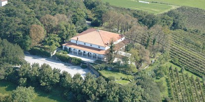 Hochzeit - Umgebung: in Weingärten - Obala - Schloss Zemono, Pri Lojzetu, Slowenien