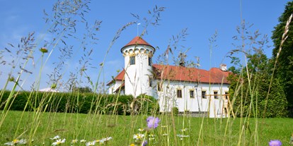 Hochzeit - Art der Location: Schloss - Carniola / Julische Alpen / Laibach / Zasavje - Schloss Bogenšperk