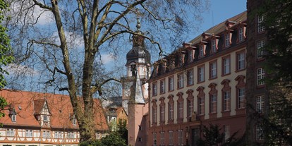 Hochzeit - nächstes Hotel - Franken - Innenhof Schloss Erbach - Schloss Erbach