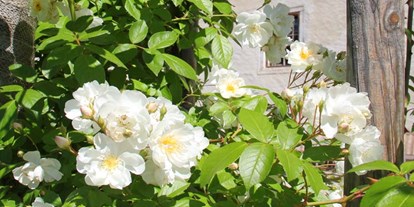 Hochzeit - Art der Location: Schloss - Oberösterreich - Im Sommer blühen an den historischen Apfelbäumen duftende weiße Kletterrosen. - Landschloss Parz