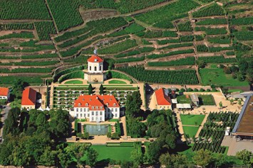 Hochzeit: Schloss Wackerbarth